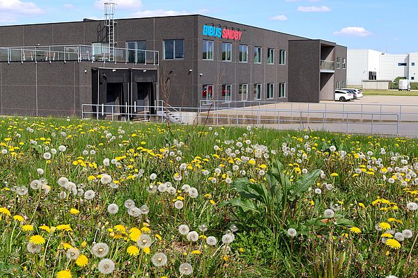 Vores grønne landskab pryder virkelig bygningen og vores arbejdsdage.